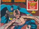 Unknown Artist - Batman: Robin Meets Man-Bat, 7