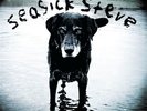 Seasick Steve - You Can't Teach An Old Dog New Tricks VINYL LP PIASR 515LP