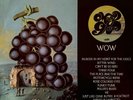 Moby Grape - Wow (LP) (Mono 1st Pressing) (VG/VG)