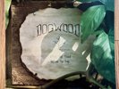 Dogwood After The Flood Before The Fire 1975 Vinyl LP. Plays Great  Watergrave.