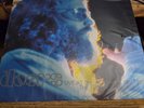 The Doors–Live At The Aquarius Theater- Rhino Records 753088022012 2025  NEW