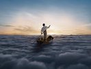 pink floyd Endless River (Vinyl LP)