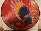 DAVID BOWIE THE MAN WHO SOLD THE WORLD PICTURE DISC RSD 2016 NEW SS
