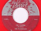 FLAMINGOS: i'm yours  / ko ko mo PARROT 7