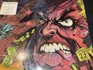 Corrosion Of Conformity - Animosity (Rare Original 1985 LP Vinyl, Death Records)