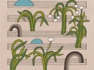 The Notwist - (PRE-ORDER 1/2/26) Magnificent Fall (2xVINYL) - TECHNO/ELECTRO *NE