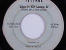 Garage 45 SHON DELS UNLIMITED Like It Or Lump It EPITOME HEAR l