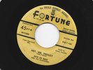 ROCKABILLY  45 -PETE DE BREE- HEY MR. PRESLEY / LONG TALL YOU -HEAR 1958 FORTUNE