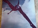 Free LP Self Titled UK Pink Island 1st Press INCREDIBLE COVER & NICE AUDIO PROG