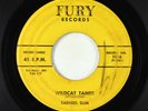 Rockabilly R&B 45 - Tarheel Slim - Wildcat Tamer - Fury