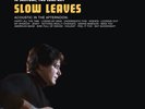 Slow Leaves - In Solitude For Company [New Vinyl LP]