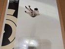 Daniel Caesar - Pilgrim’s Paradise (Liquid Gold) LE Secondtrack Exclusive Vinyl