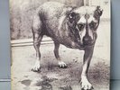 Alice In Chains Self Titled 2lp Vinyl OG 1995 ORIGINAL W/ Insert sleeves VG+