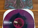 A Day to Remember Homesick Bruised Starburst Limited Edition Coloured Vinyl Rare