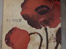 READ DESC   Lamp Lamp Genso Vinyl Record LP Album