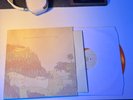 Tiny Moving Parts Pleasant Living ORANGE MILKY OPAQUE CENTER inyl LP 1st Press