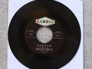 The Beach Boys  - Surfin/Luau -  1962 US 7