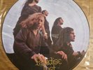 Paradise Lost- Gothic * Vinyl Picture Disc LP * 1991 * Mint * Peaceville Records