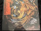 Alpha Wolf - A Quiet Place to Die Yellow Black Variant NM