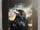 THE STRANGLERS The Raven UAG 30262 LP Vinyl VG+ Cover VG+ Original 1979 UK