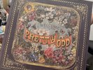 Panic at the Disco Pretty. Odd. Vinyl Deluxe Edition Limited Box Set