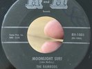 RARE Alabama Surf Garage 45 THE RAMRODS Night Ride R&H Muscle Shoals VG-*