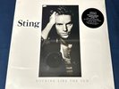 STING 