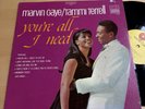 Marvin Gaye & Tammi Terrell 