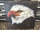 Mogwai — The Hawk Is Howling 2X LP Vinyl Record 2008 ORIGINAL 180g