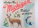 Sufjan Stevens - 2XLP Greetings from Michigan the Great Lake State - 2004 1st Pr