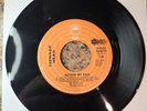 Teenage Head - Picture My Face/Tearin Me Apart RARE EPIC Punk 7