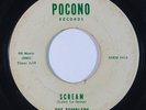 Garage 45 TUMBLERS Scream/Make You All Mine on Pocono