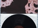 MELVINS & ISIS s/t SPLIT Vinyl LP Hydra Head NM *Rare* STONER ROCK Experimental