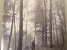 Taylor Swift - Folklore -  BEIGE COLOR 2LP VINYL LIMITED EDITION In The Trees