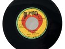 Israel Vibration Why Worry 7” Vinyl 45 RPM Orthodox Jamaica 1977 Dub