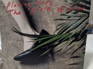 Ice Age Plowing Into The Field Of Love Double Vinyl LP