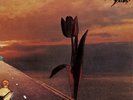 The Pretty Things Parachute (Vinyl) 12