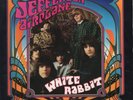 Jefferson Airplane White Rabbit/Plastic Fantastic Lover white vinyl MINT pic slv