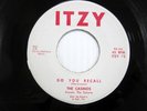 The CASINOS 45 The Swim Do You Recall ITZY 2nd label Doowop Near-MINT