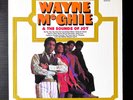 WAYNE MCGHIE & THE SOUNDS OF JOY - S/T LP - RARE Soul Funk LP
