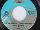 MARIE HAVENGA & WIND But It Hurts So Much RARE Grand Rapids, MI PRIVATE PRESS 45