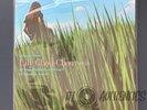 Lily Chou-Chou Breathing Vinyl | JAPAN EDITION | SHIPS FROM US | SAFE  SHIP