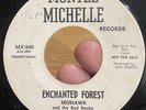 RARE Country Popcorn Promo 45 MOHAWK & THE RED NECKS Enchanted Forest WLP VG+*