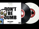 ASAP ROCKY 'DONT BE DUMB' DUMMY 2LP VINYL [SIGNED] | IN HAND