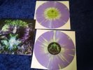 Deadlife – The Order Of Chaos2 x Vinyl, LP, Album, Limited Edition, Splatter