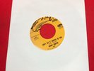 BENNY HARPER  Don't Let It Happen To You 1968 US 7