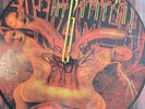 Testament**The Gathering**Picture LP**SIGNED**rare out of print**pic disc