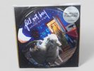 Fall Out Boy Infinity On High Limited US Ed. 2007 Picture Disk Vinyl LP Sealed