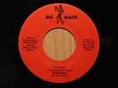Essence Soul Detroit 45 Fever bw Instrumental on Big Mack