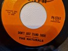 NORTHERN SOUL THE NATURALS